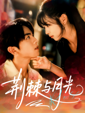 荆棘与月光（60集）