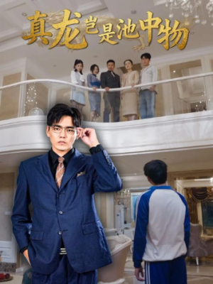 真龙岂是池中物（80集）