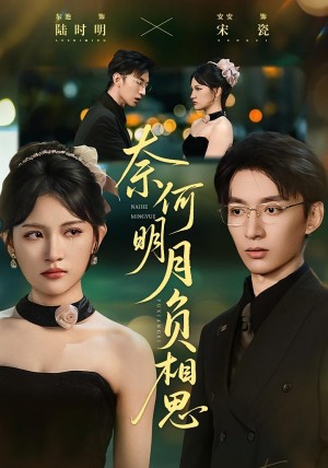 奈何明月负相思（60集）