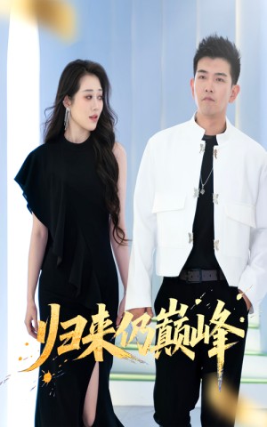 归来仍巅峰（61集）