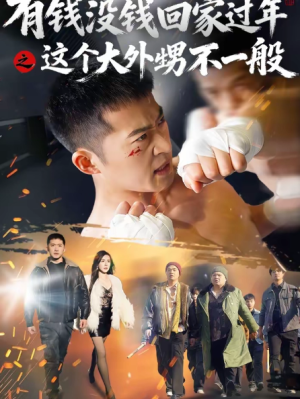 有钱没钱回家过年之这个大外甥不一般（81集）