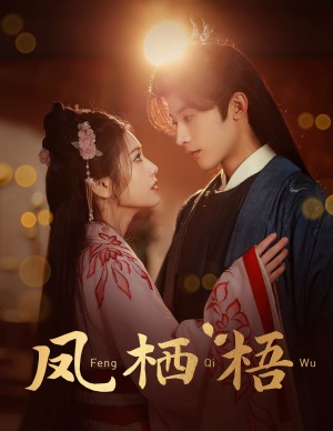 凤栖梧（60集）