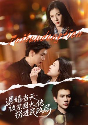 退婚当天被京圈大佬拐进民政局（80集）
