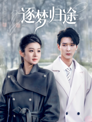 逐梦归途（60集）