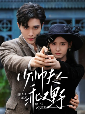 少帅夫人乖又野（84集）