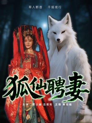 狐仙聘妻（30集）