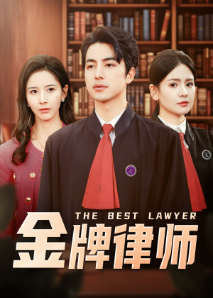 金牌律师（48集）