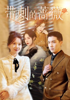 带刺的蔷薇（50集）