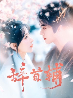 辞首辅（80集）