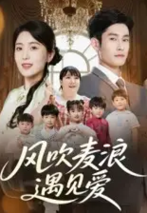 风吹麦浪遇见爱（70集）