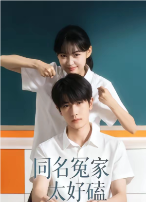 同名冤家太好磕（24集）
