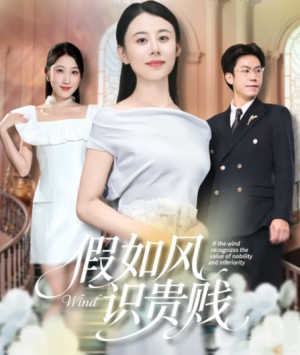 假如风识贵贱（58集）