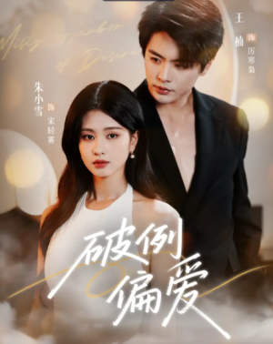 破例偏爱（63集）