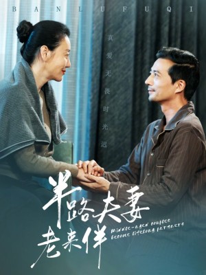 半路夫妻老来伴（50集）