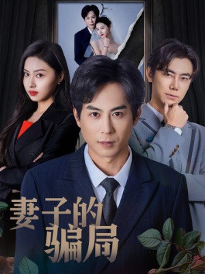妻子的骗局（40集）
