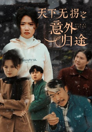 天下无拐之意外归途（天下无拐之别动我的孩子）（61集）