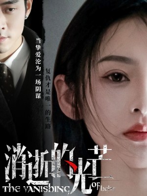 消逝的光芒（55集）