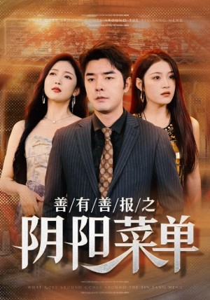 善有善报之阴阳菜单（50集）