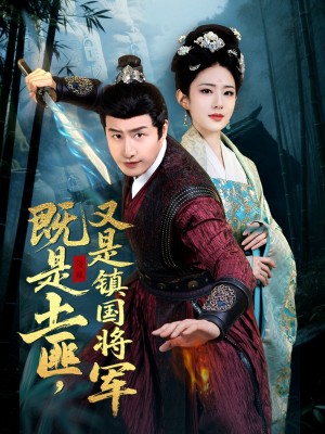 既是土匪又是镇国将军（65集）