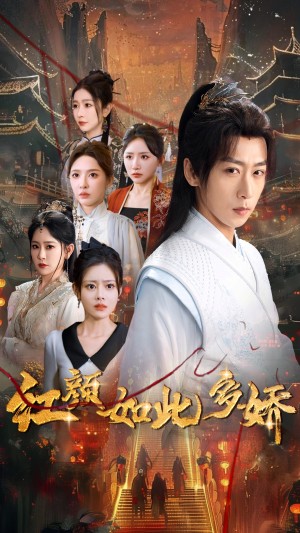 红颜如此多娇（80集）