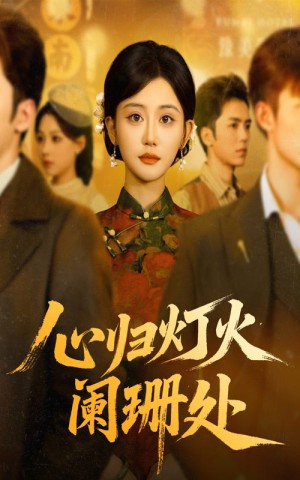 心归灯火阑珊处（71集）