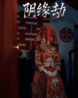 阴缘劫（25集）