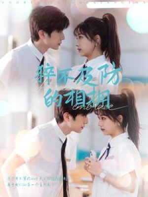 猝不及防的相拥（66集）