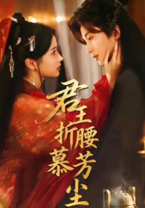 君王折腰慕芳尘（70集）