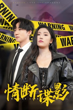 情断谍影（30集）