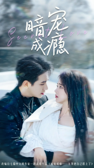 暗宠成瘾（56集）