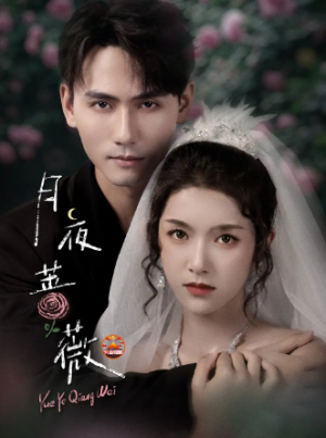 月夜蔷薇（72集）