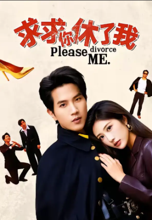 求求你休了我（80集）