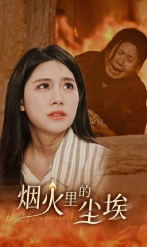《烟火里的尘埃》(70集)