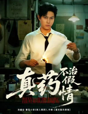 真药不治假情（60集）