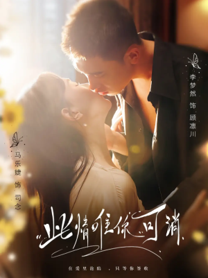 此情唯你可消（80集）