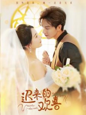 迟来的欢喜（81集）