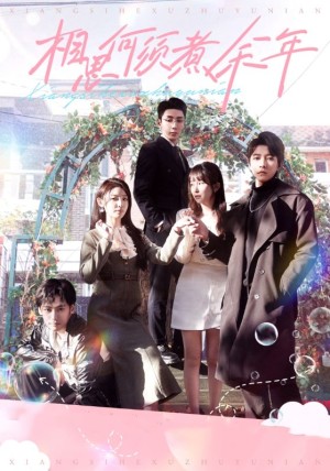 相思何须煮余年（33集）