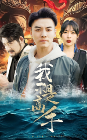 《我不是高手》(82集)