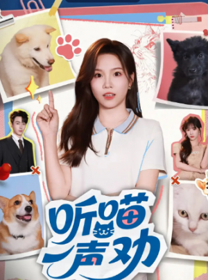 听喵一声劝（60集）