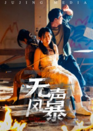 无声风暴（33集）